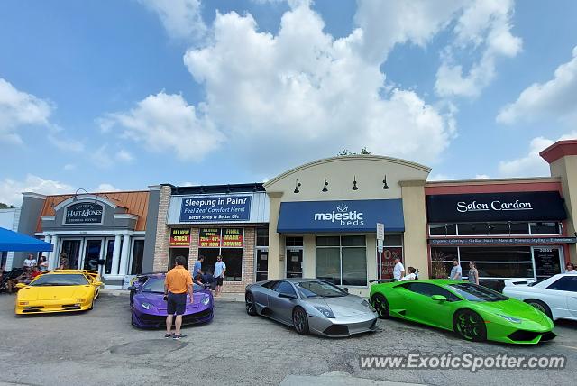 Lamborghini Murcielago spotted in Birmingham, Michigan