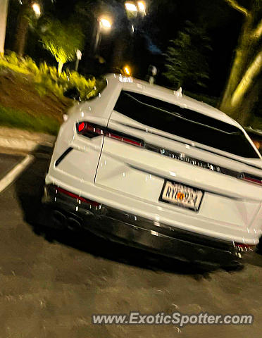 Lamborghini Urus spotted in Atlanta, Georgia