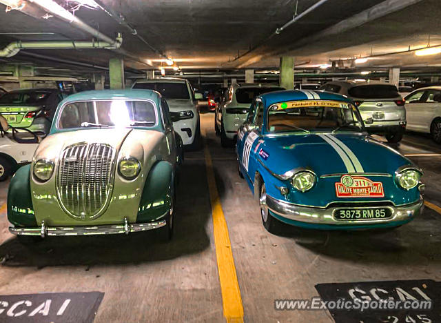 Other Unknown spotted in Amelia Island, Florida