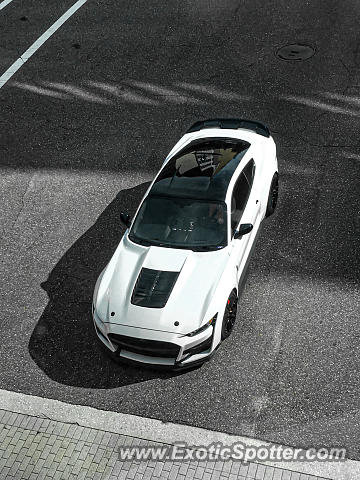 Other Other spotted in Jacksonville, Florida