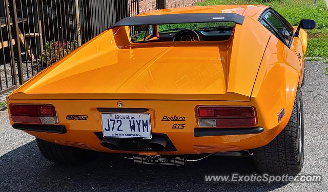 DeTomaso Pantera2 spotted in Ottawa, Canada