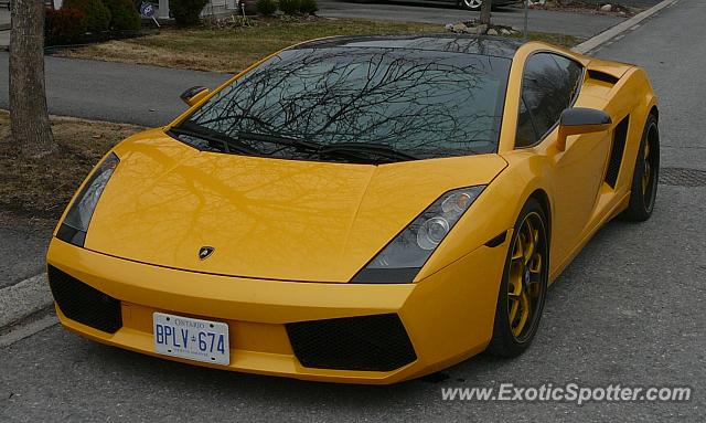 Lamborghini Gallardo spotted in Ottawa, Canada
