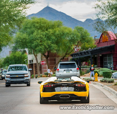 Lamborghini Aventador spotted in Scottsdale, Arizona