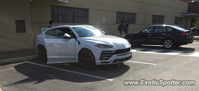 Lamborghini Urus spotted in Wallingford, Pennsylvania