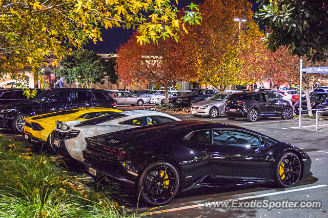 Lamborghini Huracan spotted in Auckland, New Zealand
