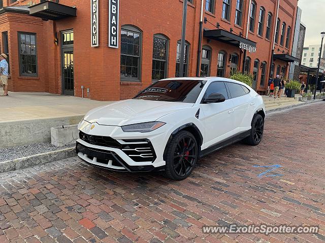 Lamborghini Urus spotted in Tampa, Florida