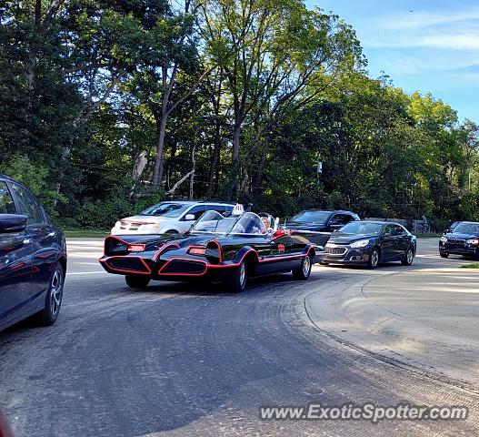 Other Unknown spotted in Bloomfield Hills, Michigan