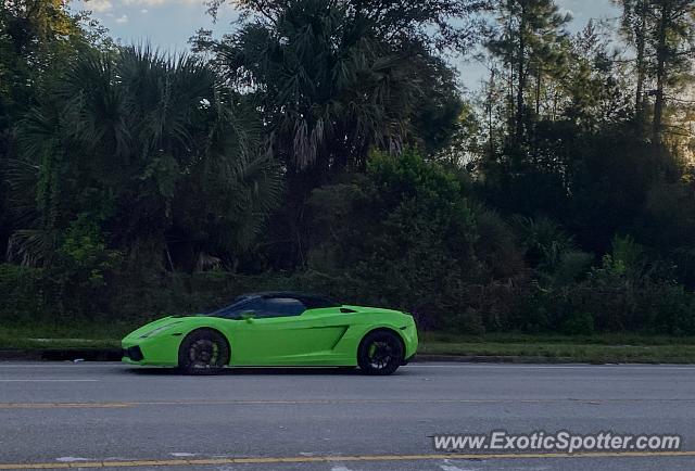 Lamborghini Gallardo spotted in Jacksonville, Florida