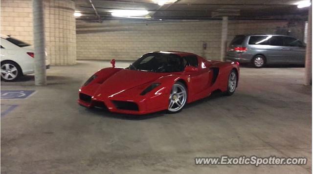 Ferrari Enzo spotted in Walnut, California