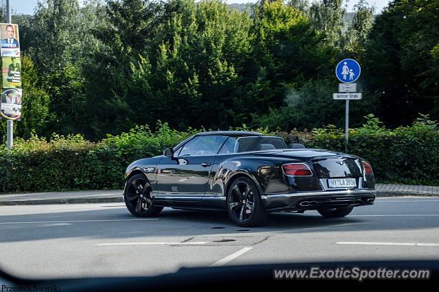 Bentley Continental spotted in Lobau, Germany