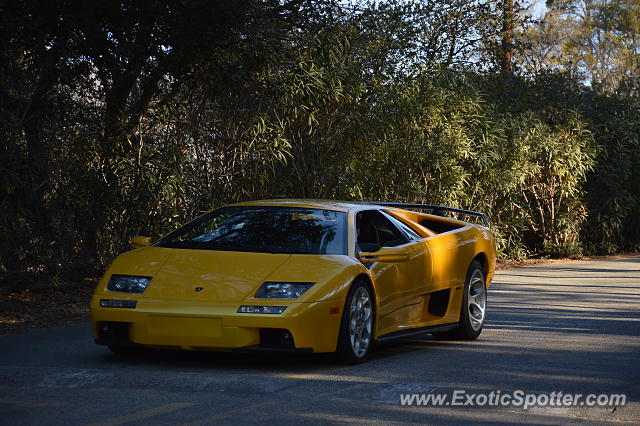 Lamborghini Diablo spotted in Malibu, California