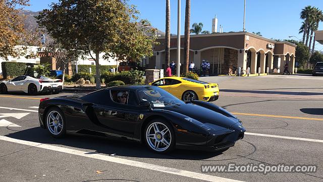 Ferrari Enzo spotted in Malibu, California