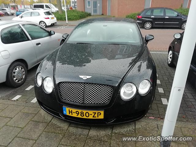 Bentley Continental spotted in Papendrecht, Netherlands