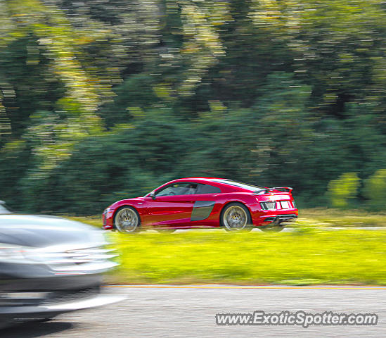 Audi R8 spotted in Jacksonville, Florida