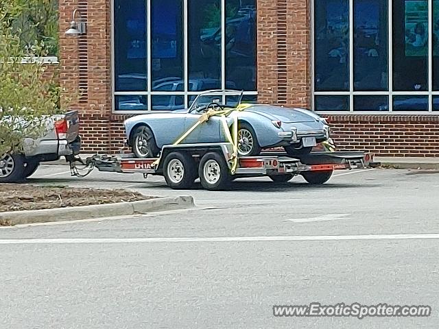 Other Vintage spotted in Asheville, North Carolina