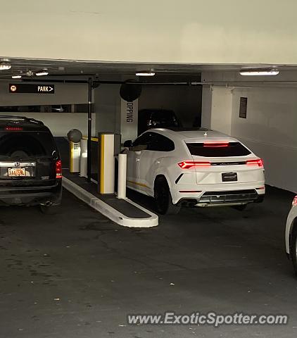 Lamborghini Urus spotted in Salt Lake City, Utah