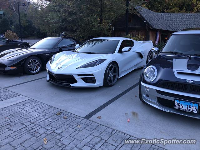 Chevrolet Corvette Z06 spotted in TaioftheDragon, Tennessee