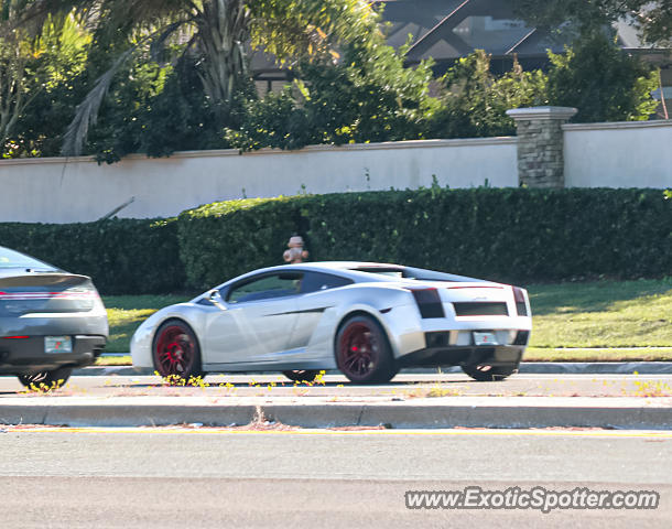 Lamborghini Gallardo spotted in Jacksonville, Florida