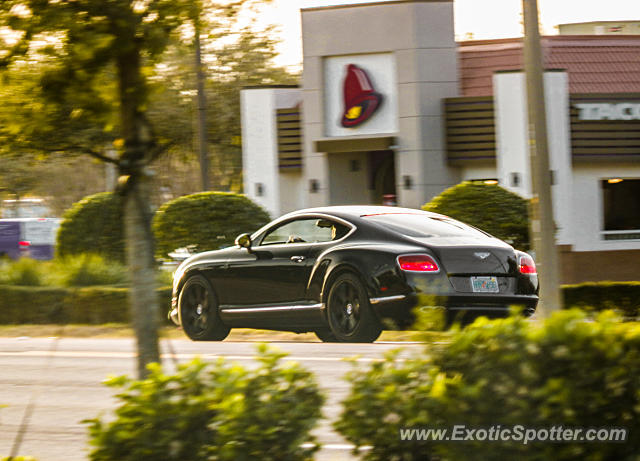 Bentley Continental spotted in Jacksonville, Florida