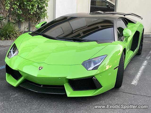 Lamborghini Aventador spotted in Pleasanton, California