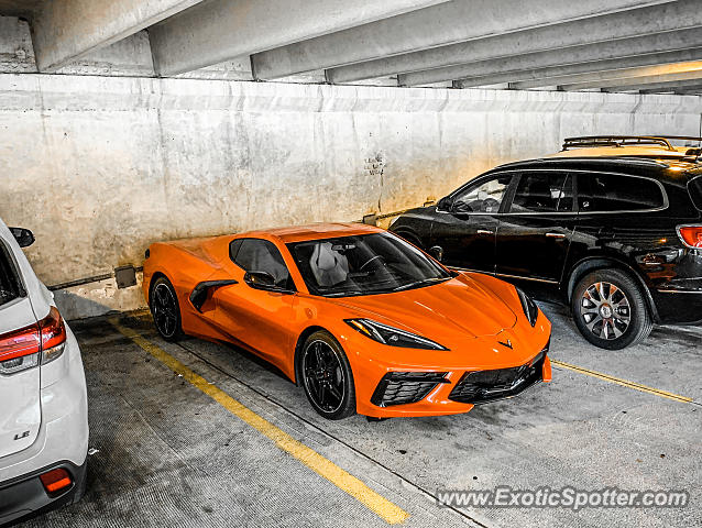 Chevrolet Corvette Z06 spotted in Jacksonville, Florida