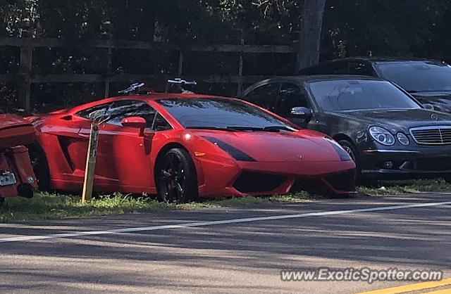 Lamborghini Gallardo spotted in Amelia Island, Florida