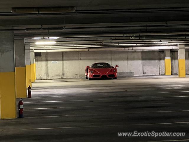 Ferrari Enzo spotted in Amelia Island, Florida