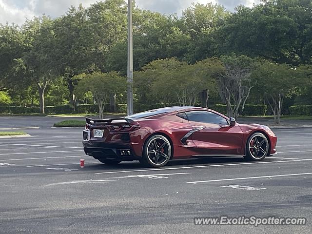 Chevrolet Corvette Z06 spotted in Jacksonville, Florida