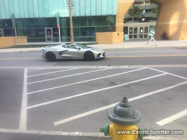Chevrolet Corvette Z06 spotted in St. Petersburg, Florida
