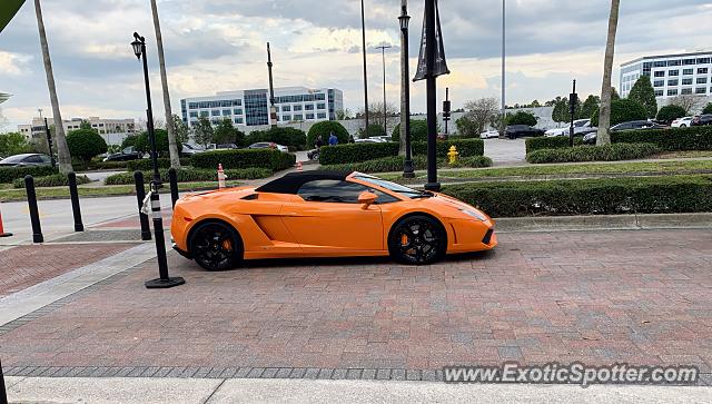 Lamborghini Gallardo spotted in Jacksonville, Florida