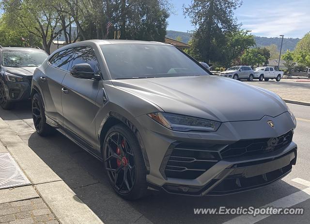 Lamborghini Urus spotted in Pleasanton, California