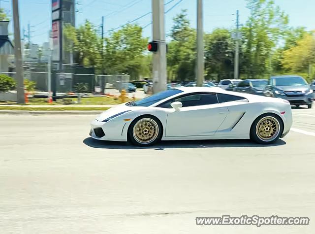 Lamborghini Gallardo spotted in Jacksonville, Florida