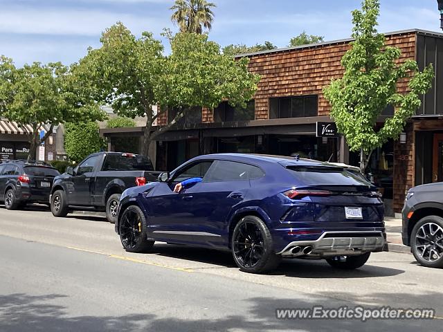 Lamborghini Urus spotted in Danville, California