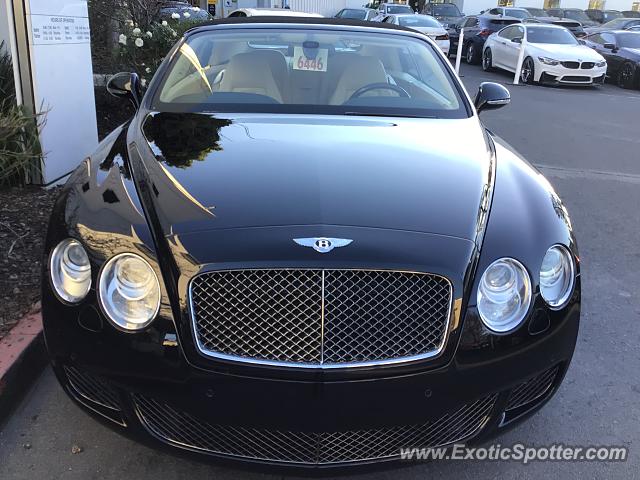 Bentley Continental spotted in San Francisco, California