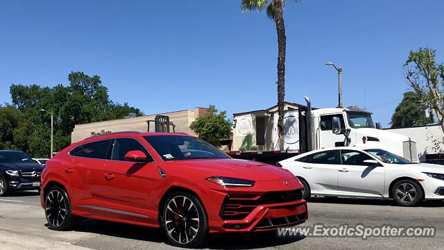 Lamborghini Urus spotted in Encino, California