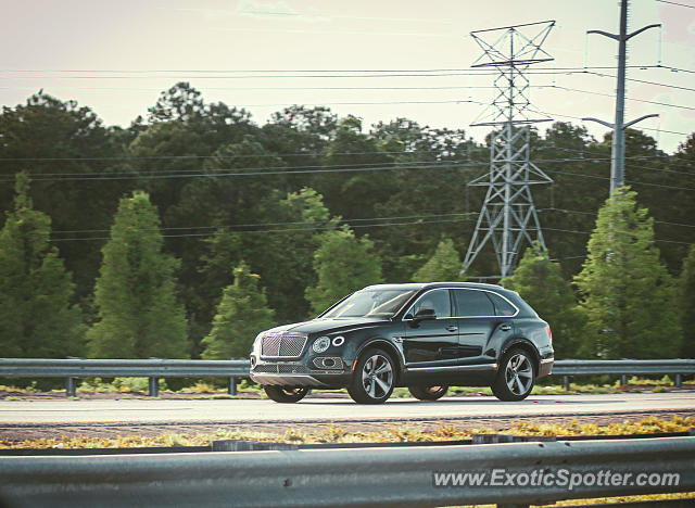 Bentley Bentayga spotted in Jacksonville, Florida