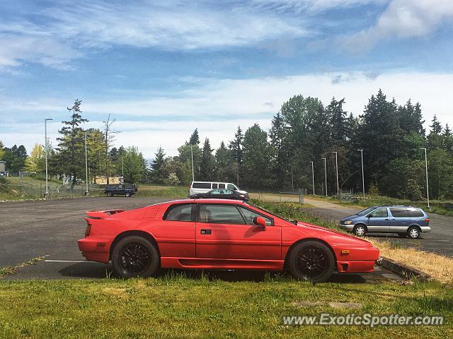 Lotus Esprit spotted in Kent, Washington
