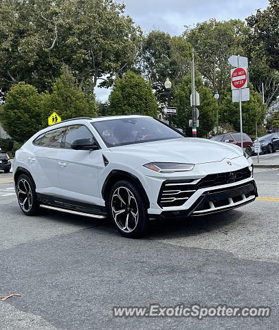 Lamborghini Urus spotted in San Francisco, California