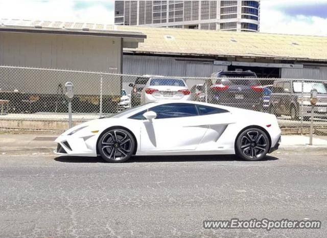 Lamborghini Gallardo spotted in Honolulu, Hawaii