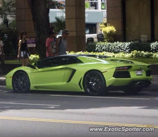 Lamborghini Aventador spotted in Honolulu, Hawaii