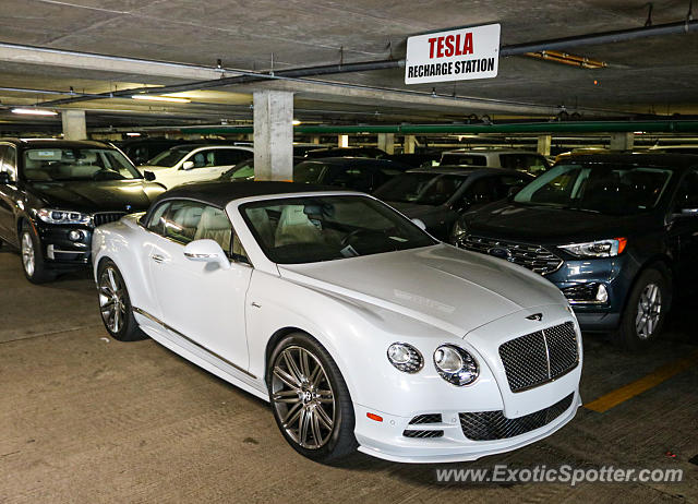 Bentley Continental spotted in Amelia Island, Florida