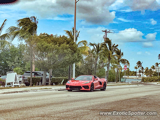 Chevrolet Corvette Z06 spotted in Marathon, Florida