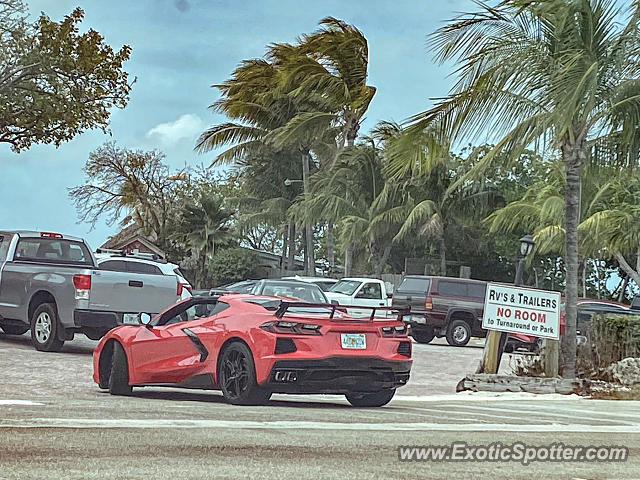 Chevrolet Corvette Z06 spotted in Marathon, Florida