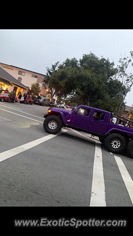 Other Other spotted in Pebble beach, California