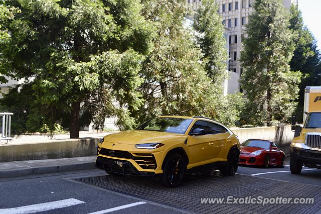 Lamborghini Urus spotted in Bellevue, Washington