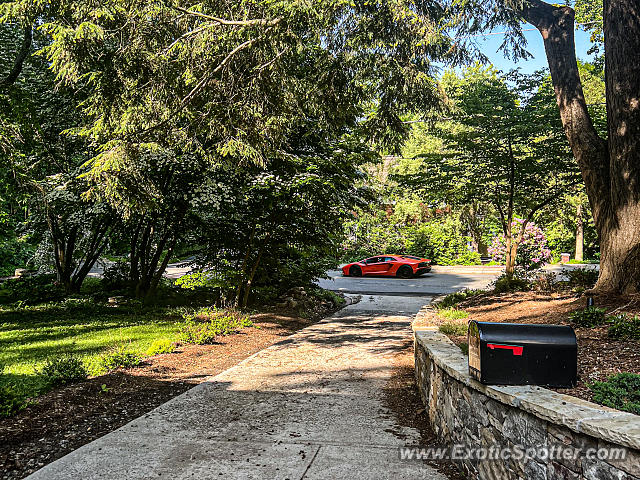 Lamborghini Aventador spotted in Asheville, North Carolina