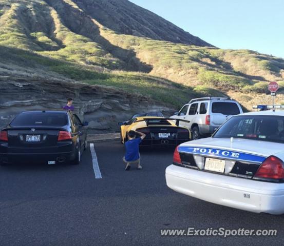 Lamborghini Murcielago spotted in Lamborghini, Hawaii