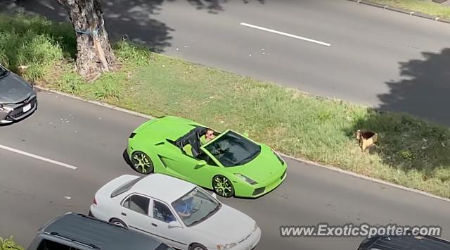 Lamborghini Gallardo spotted in Honolulu, Hawaii
