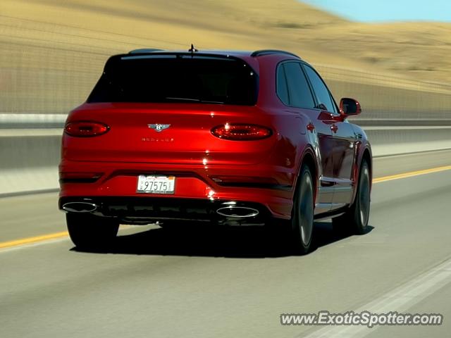 Bentley Bentayga spotted in Pleasanton, California