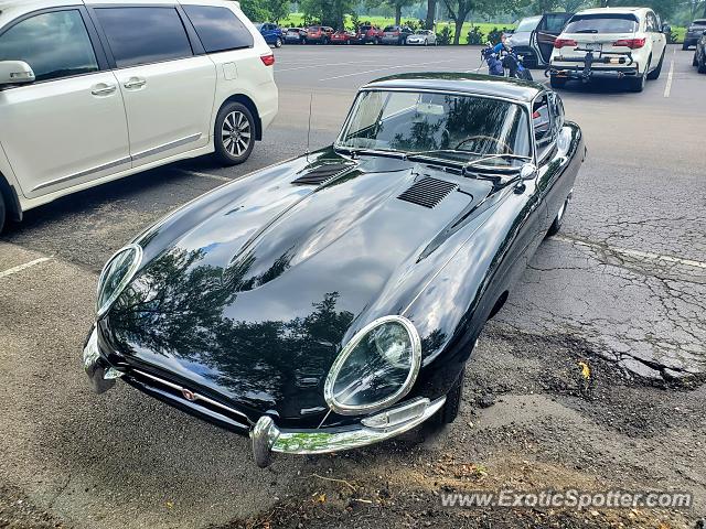 Jaguar E-Type spotted in Cincinnati, Ohio